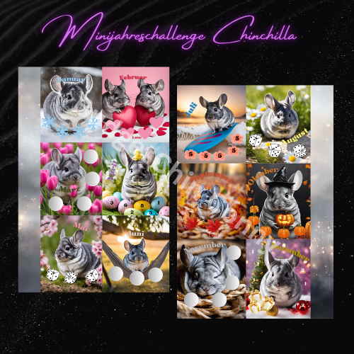 Minijahreschallenge Chinchilla