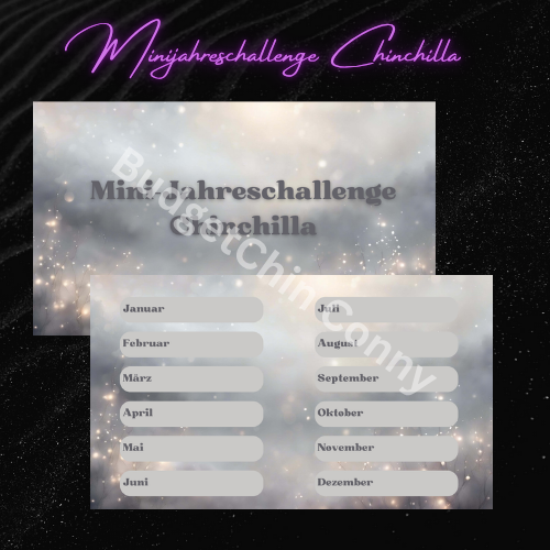 Minijahreschallenge Chinchilla